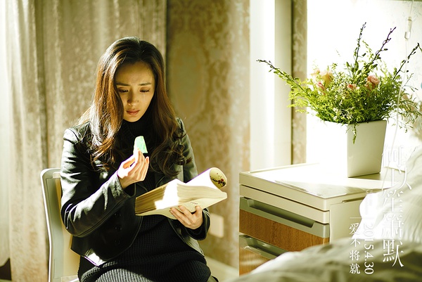 中国内地影视女演员,流行乐歌手,影视制片人