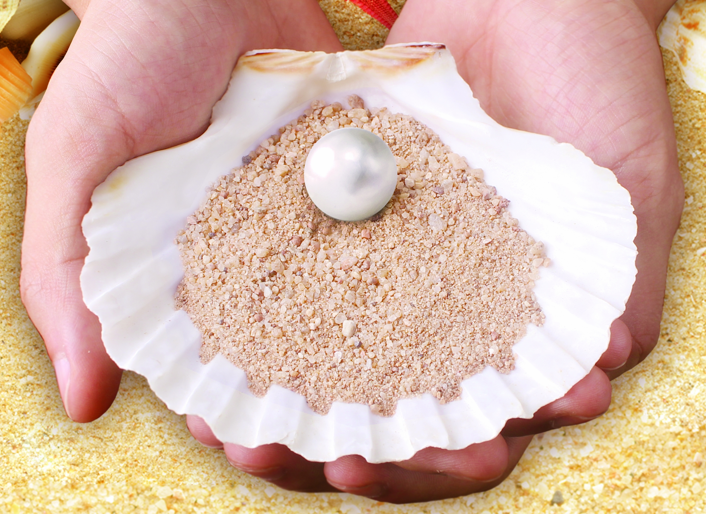  p>珍珠贝, a href="#" data-lemmaid="563285">软体动物门 /a>,瓣鳃