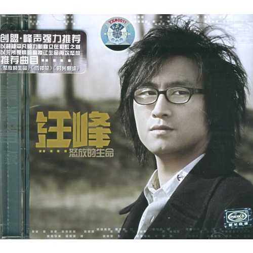 汪峰的歌曲(汪峰的歌曲十首经典)