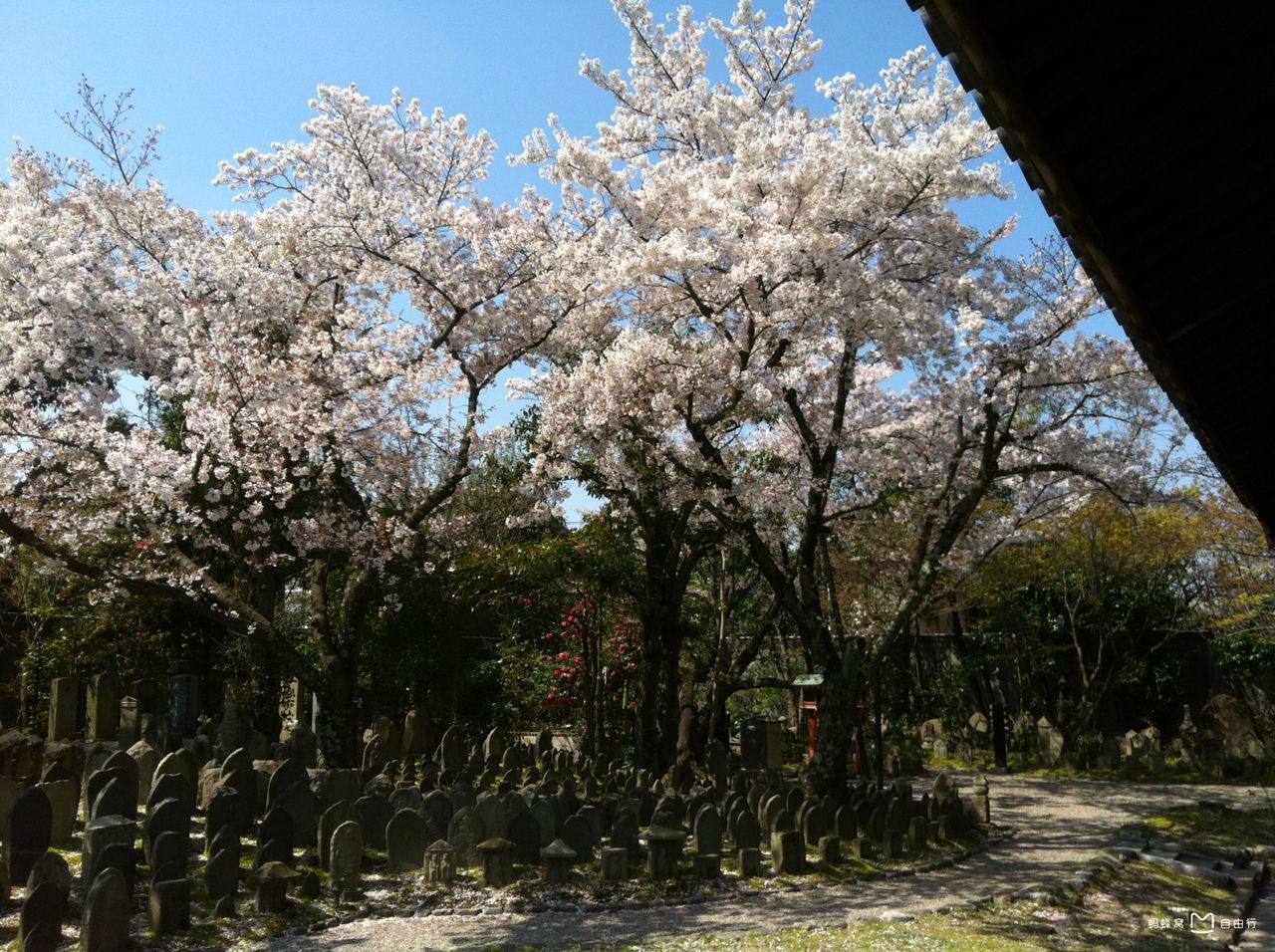  p data-id="gnwi1ut8xh">元兴寺,是日本 a target="_blank" href="