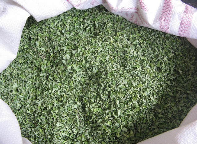  p>东风菜根300克,浓茶汁100克 /p> p>将东风菜根洗净,捣取原汁,冲入