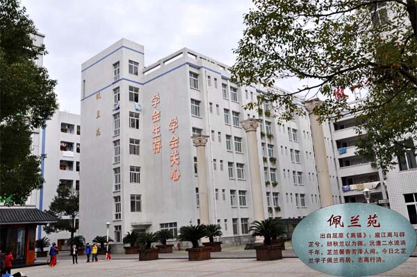常德芷兰实验学校
