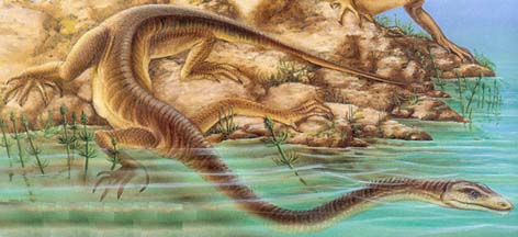 长颈龙(tanystropheus)