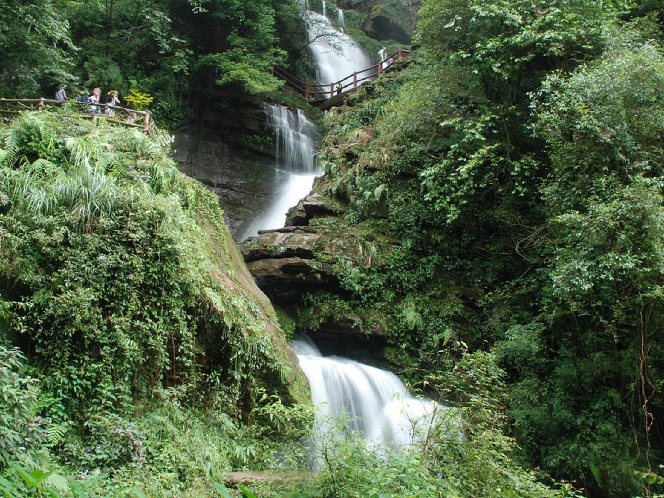  p>碧峰峡景区位于雅安市北16公里,景区面积20平方公里,森林面积20000