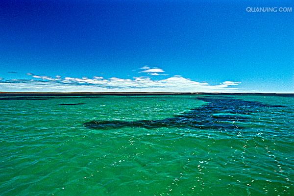 ">海草 /a>床,是许多大型 a target="_blank" href="/item/海洋生物