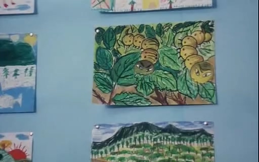 鲁冰花rough——iceflower(1989)