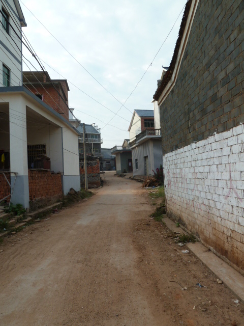  p>肖家林村是坐落于江西省鄱阳县芦田乡舍头大队的一个乡村,有着200