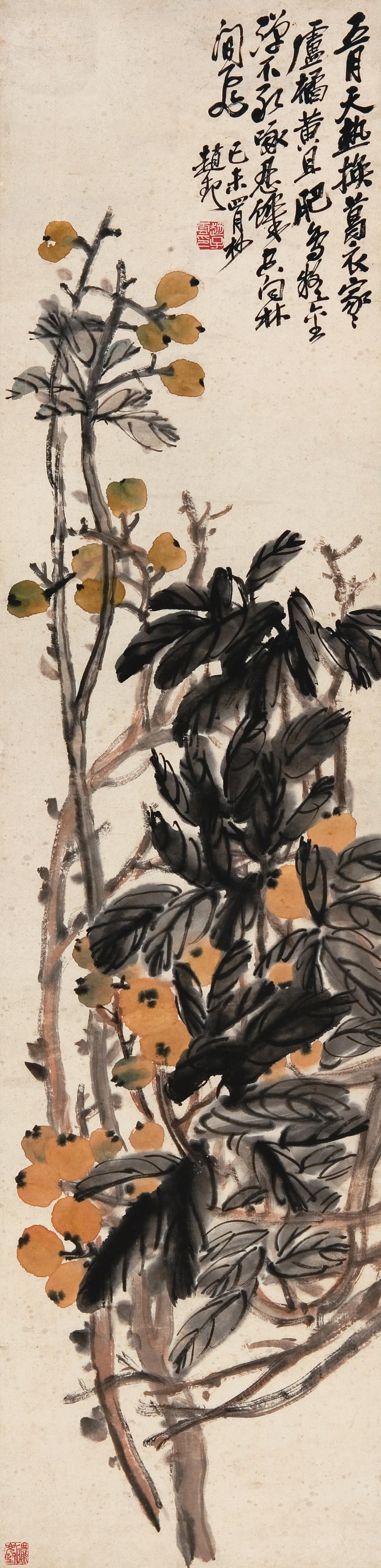 赵子云 全网资源