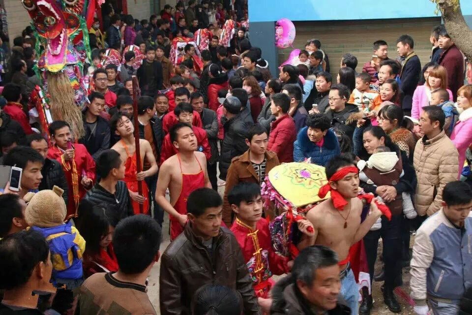杨店高龙