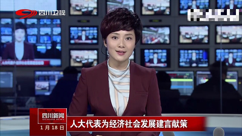  p>马安丽,四川雅安人,毕业于四川师范大学电影电视学院(今四川电影