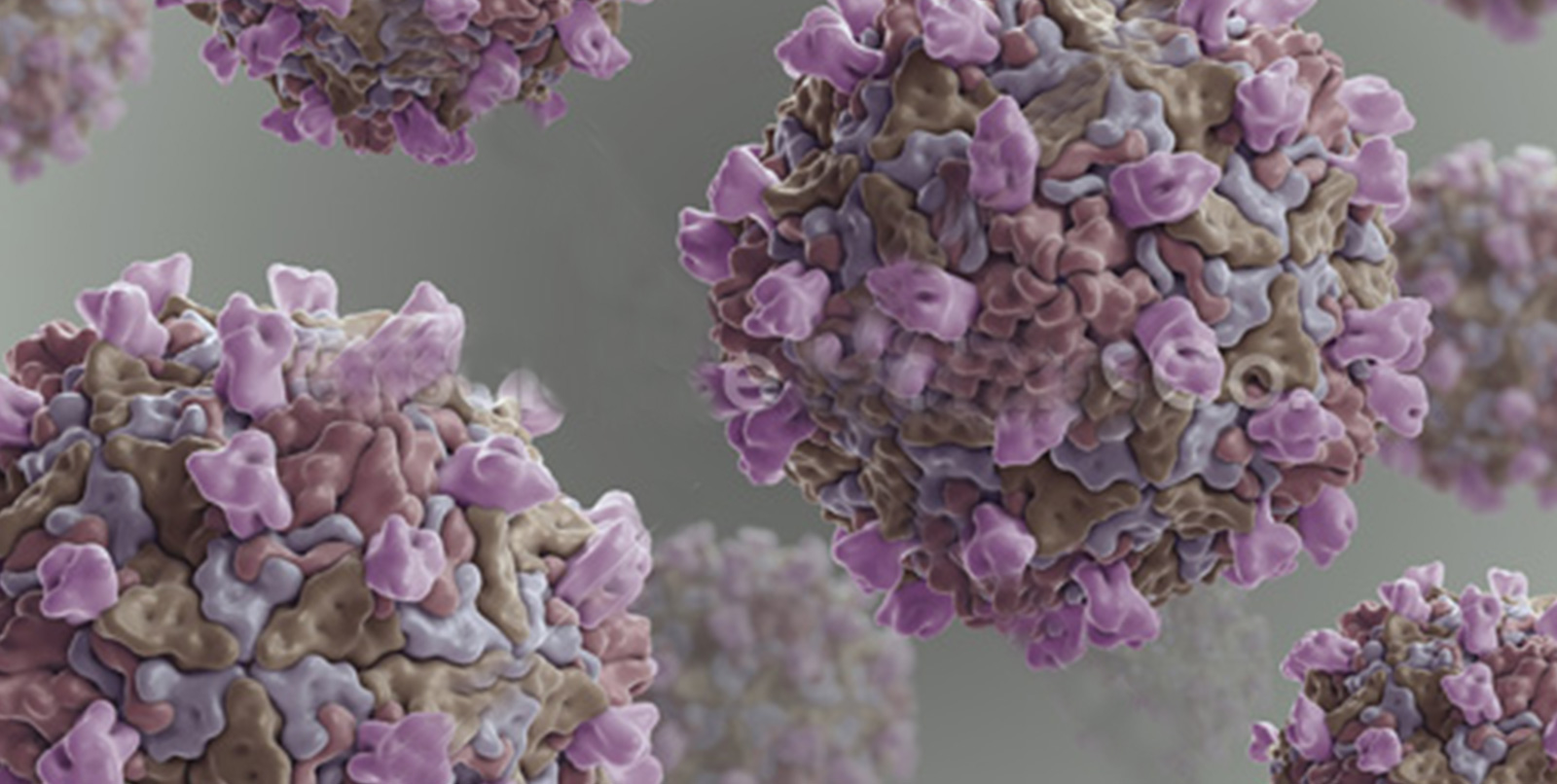 柯萨奇病毒a16型