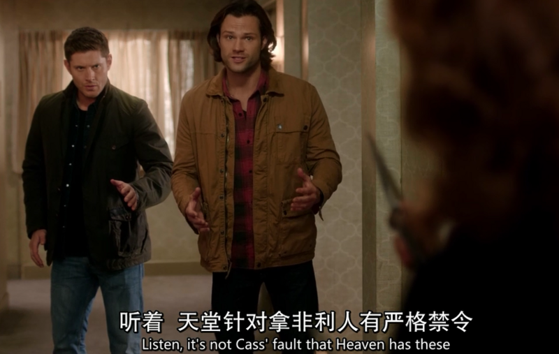 邪恶力量第十二季