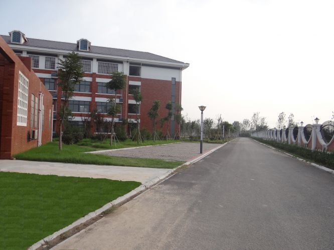 山东单县第二中学