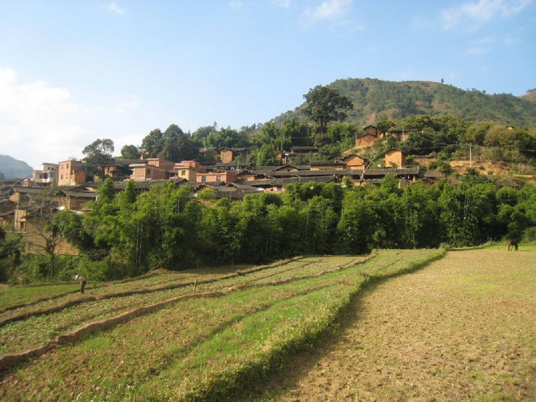  p>行政村隶属富民县款庄乡,地处款庄乡西边,距乡政府所在地20公里,到