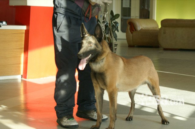 第三十八章兰亭断义这一篇章中烈朝监军厉德利用大烈征东大将军简至光