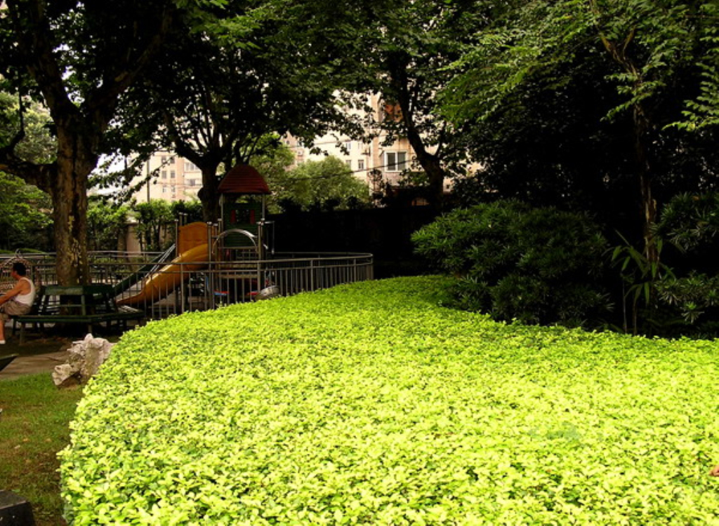  p>上海华山儿童公园位于华山路1575号,除园门前是华山路外,四周皆为