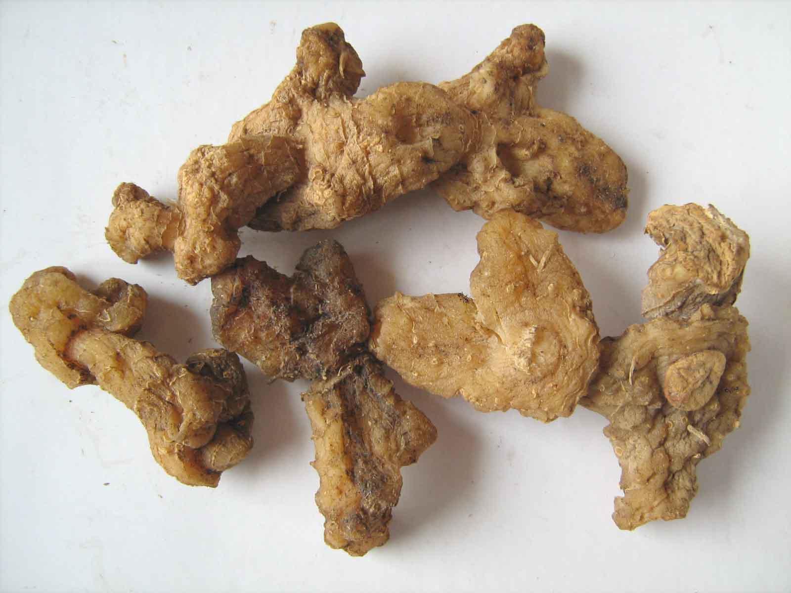  p>九华黄精,安徽省 a href="#" data-lemmaid="8344527">青阳县 /a>