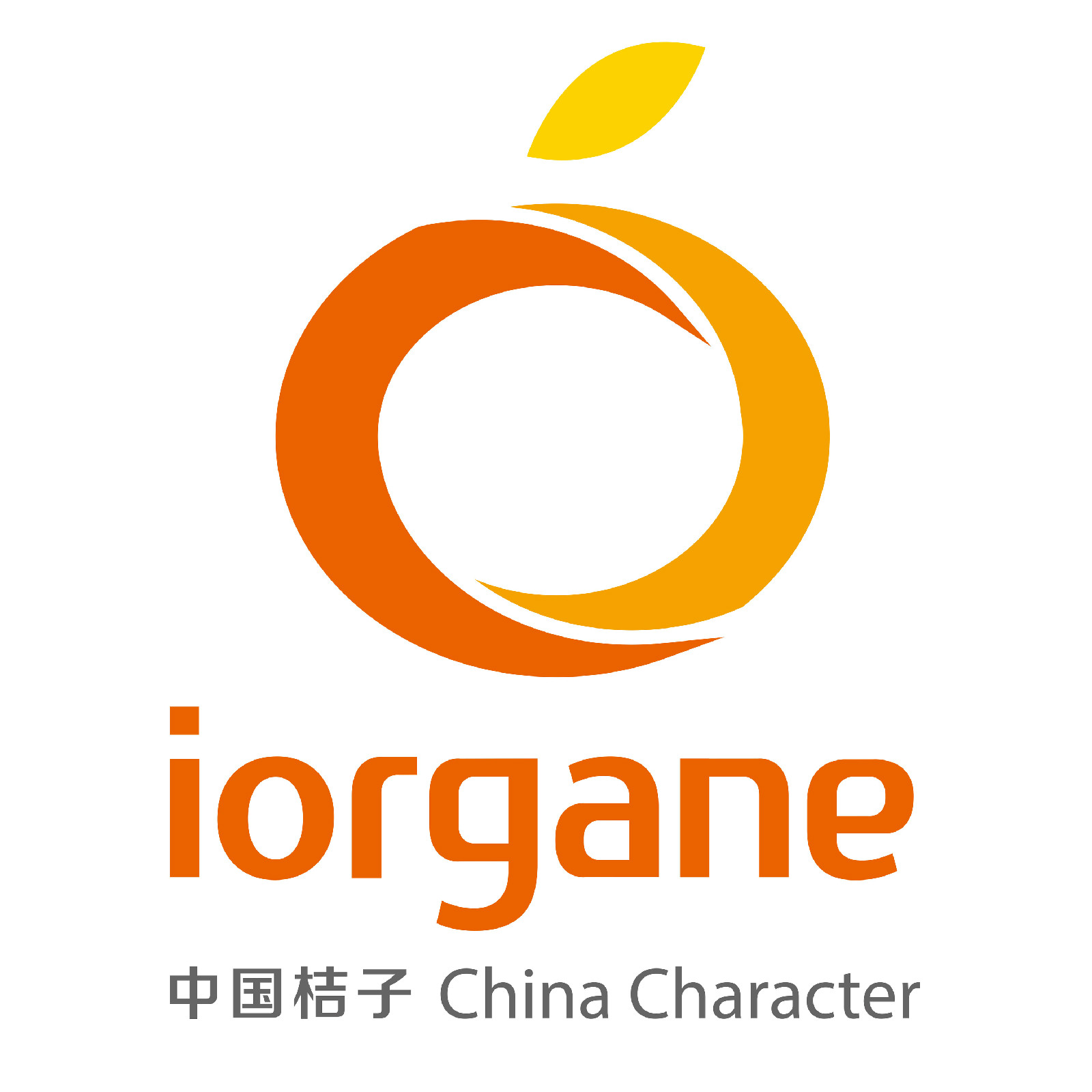 深圳市桔子伟业科技有限公司