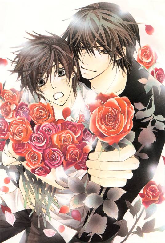 世界第一初恋（中村春菊创作系列漫画）_百度百科