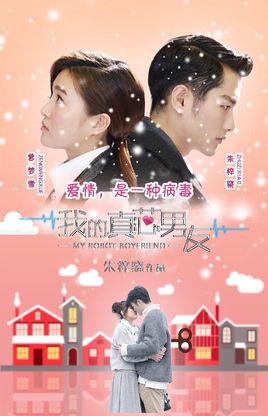 我的真芯男友