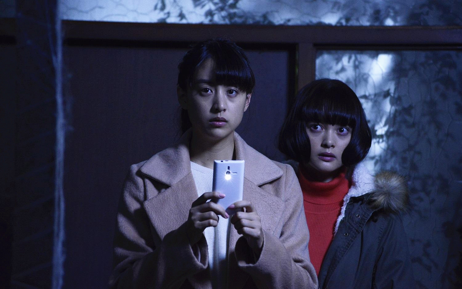  p data-id="gnzc1mx2u9">《贞子 vs 伽椰子》是 a target="_blank"
