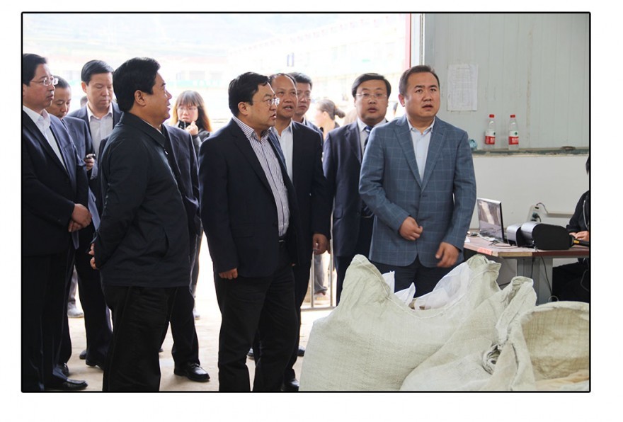 月 a target="_blank" href="/item/甘肃江能医药科技集团/15483479"