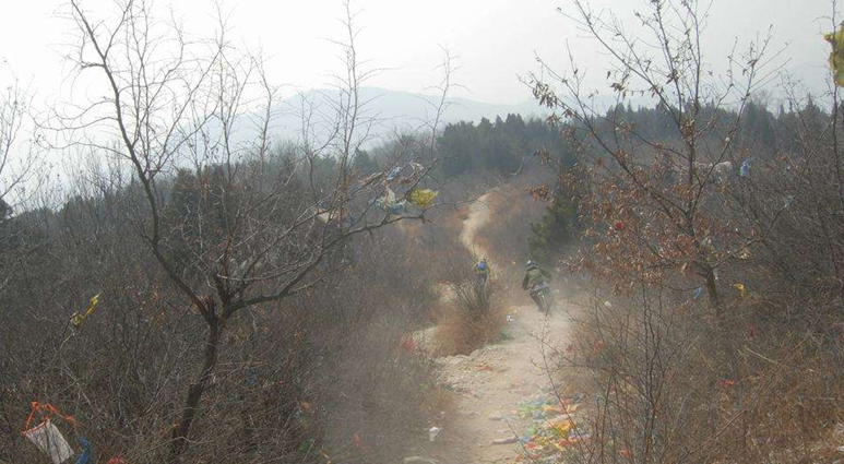 data-lemmaid="3790248">快活林 /a>,清河县城西部 a target="_blank"