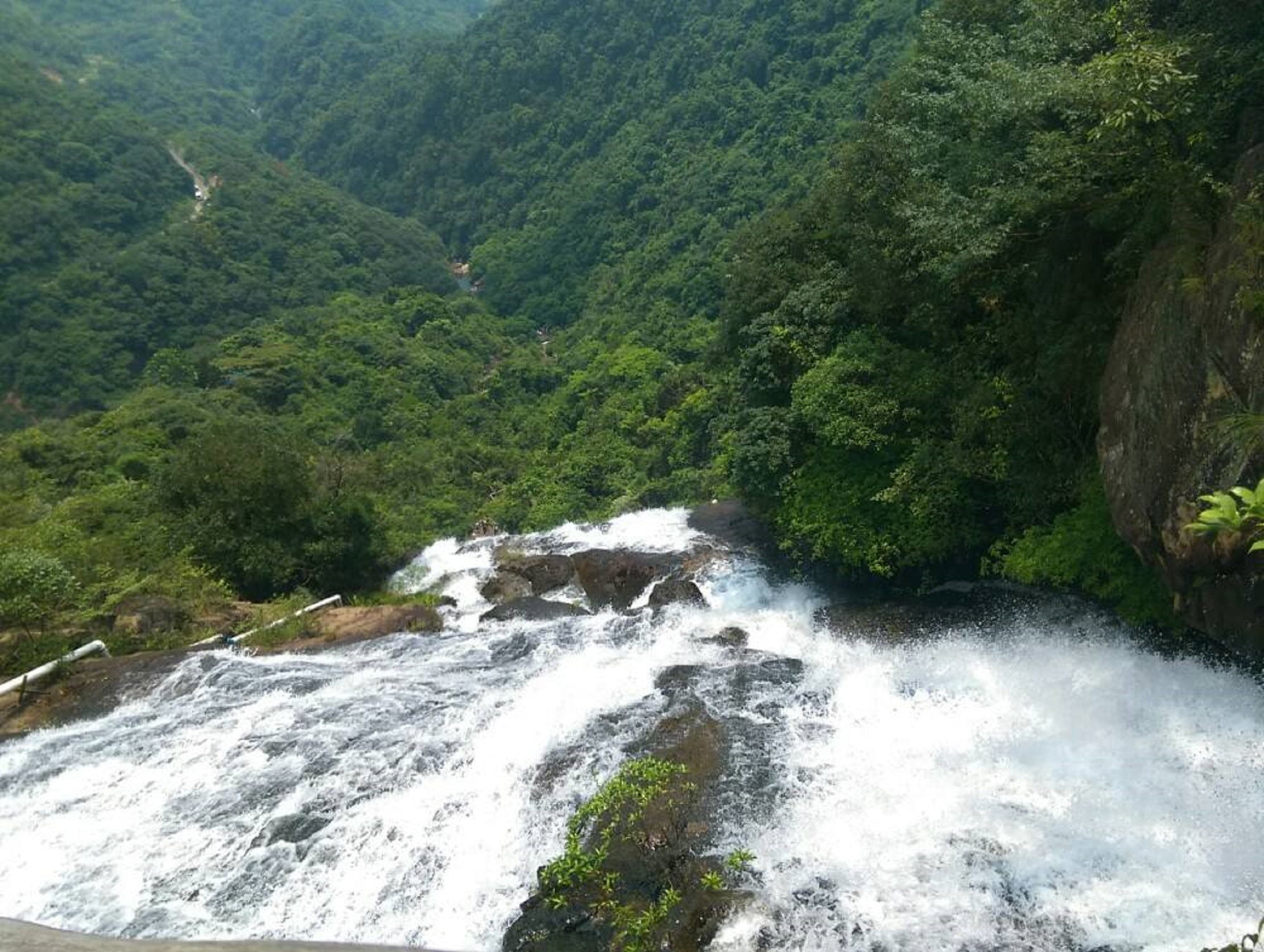  p> a href="#" data-lemmaid="782676">江门市 /a>白水带风景名胜区