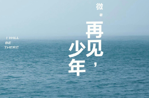 再见,少年