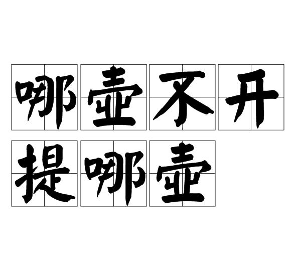 哪壶不开提哪壶