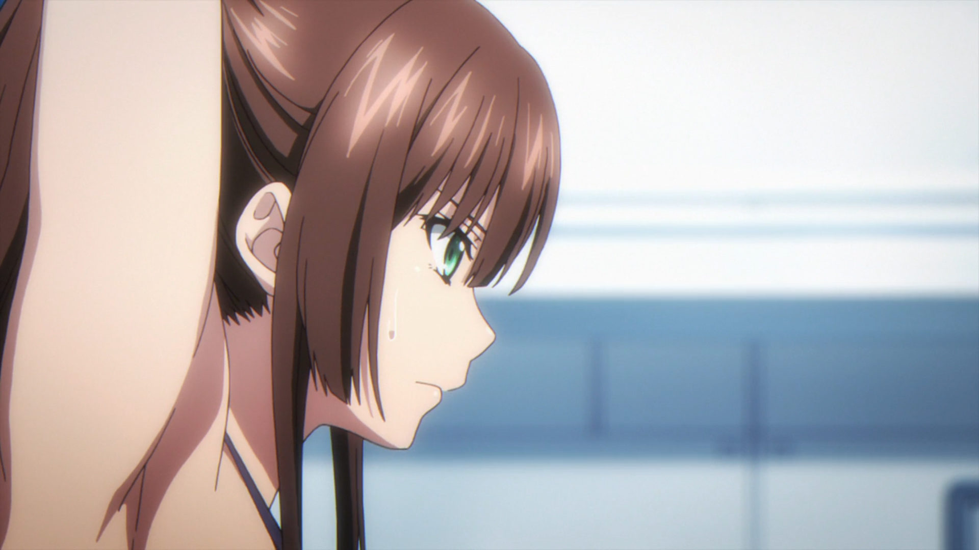 轻小说《 a target="_blank" href="/item/噬血狂袭/75213" data