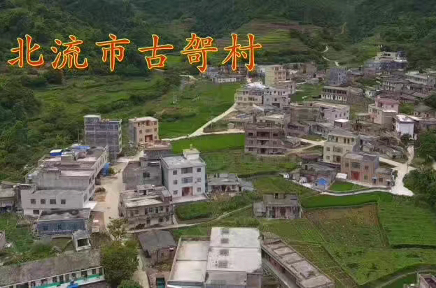  p>广西壮族自治区玉林市北流市大坡外镇古哿村.