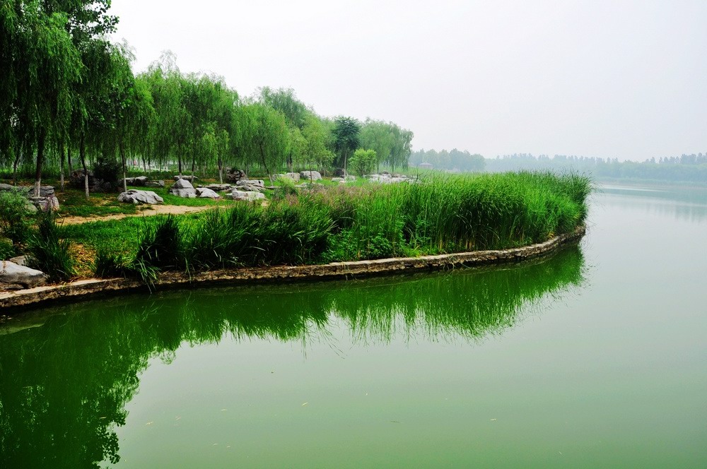 上刻河南省固始县文化名人李乾山书丹,董乃康撰文的《秀水公园记》,碑