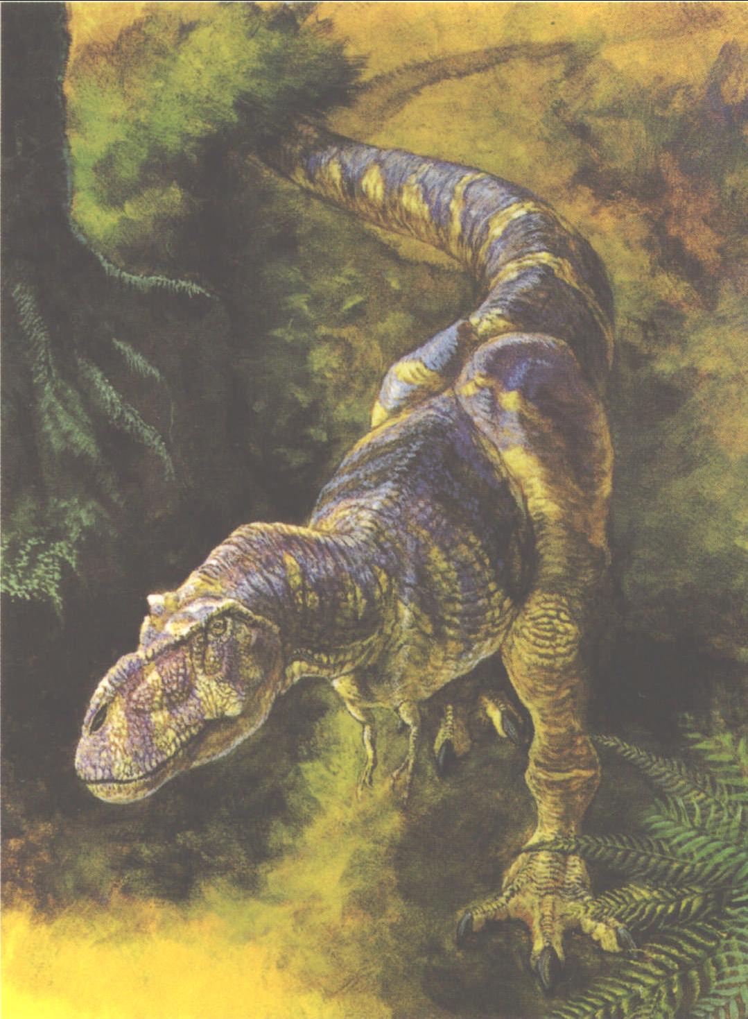  p>特暴龙(学名:tarbosaurus)意为"令人害怕的 a href="#" data-lemma