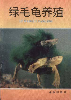 绿毛龟养殖_百度百科