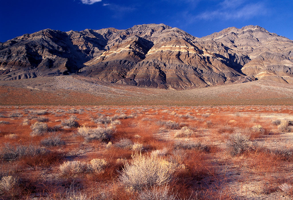 death valley national park