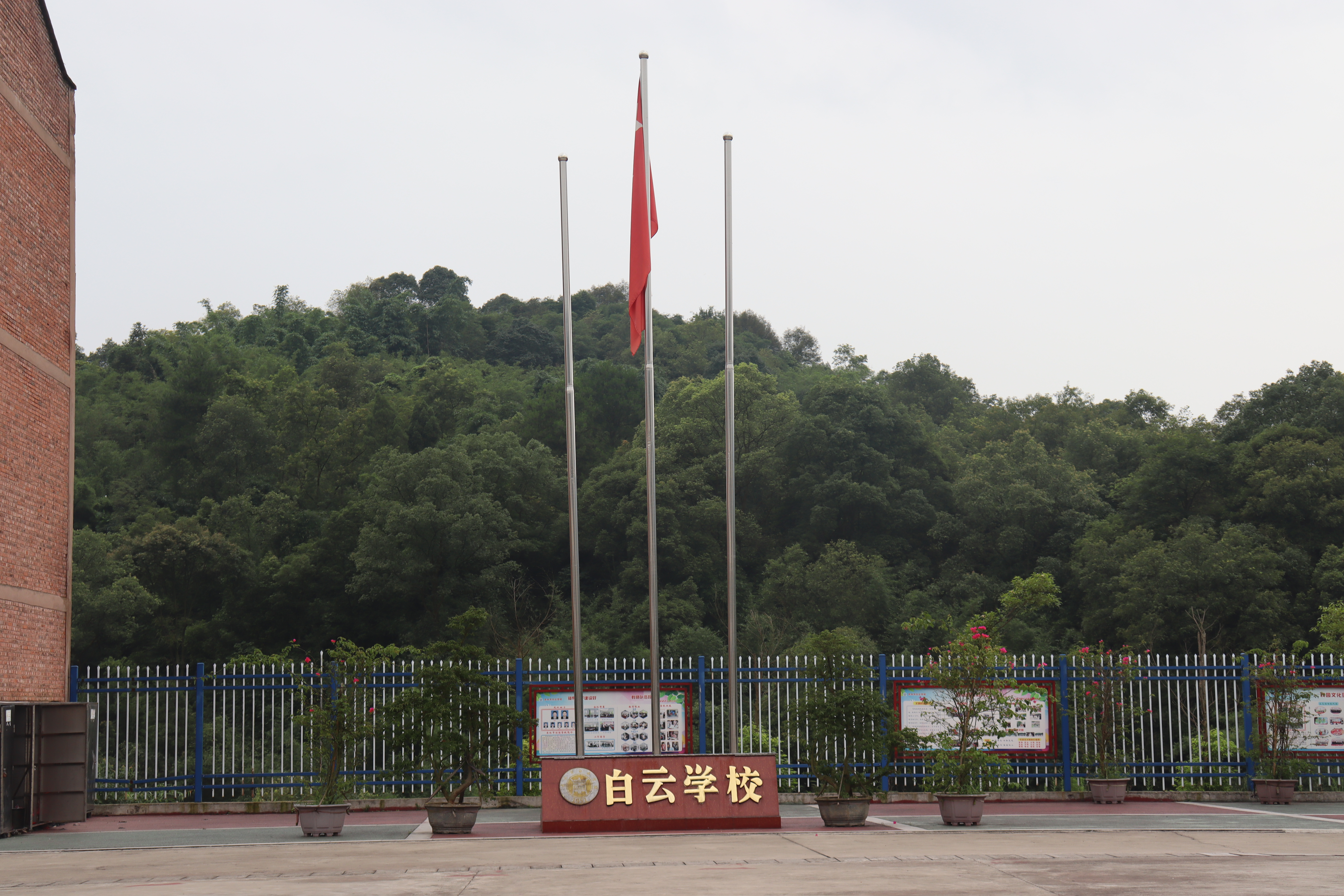 白云学校