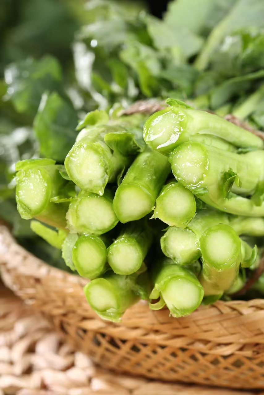 板蓝根青菜