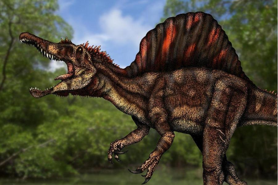 歌伦波奥沙拉龙