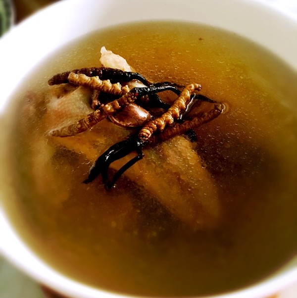虫草炖水鸭煲