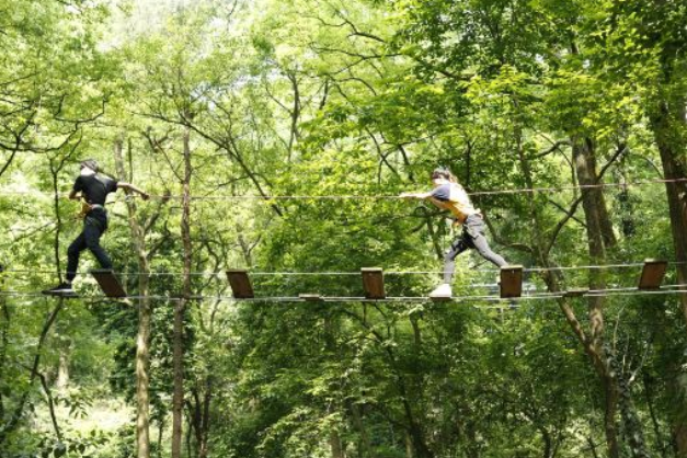  p>飞越丛林户外探险乐园位于 a target="_blank" href="/item/重庆市