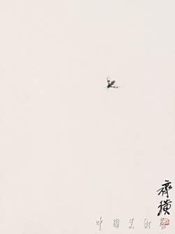 蝇