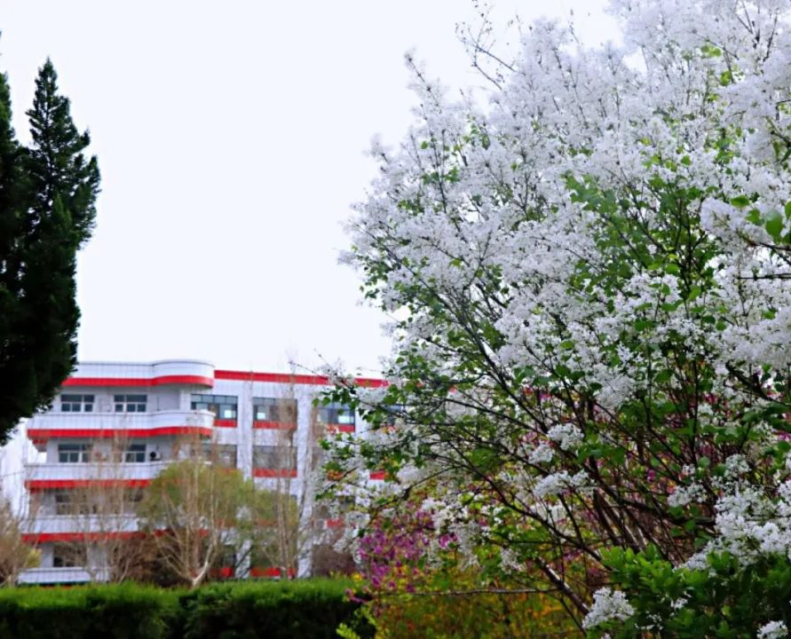 山东省济北中学