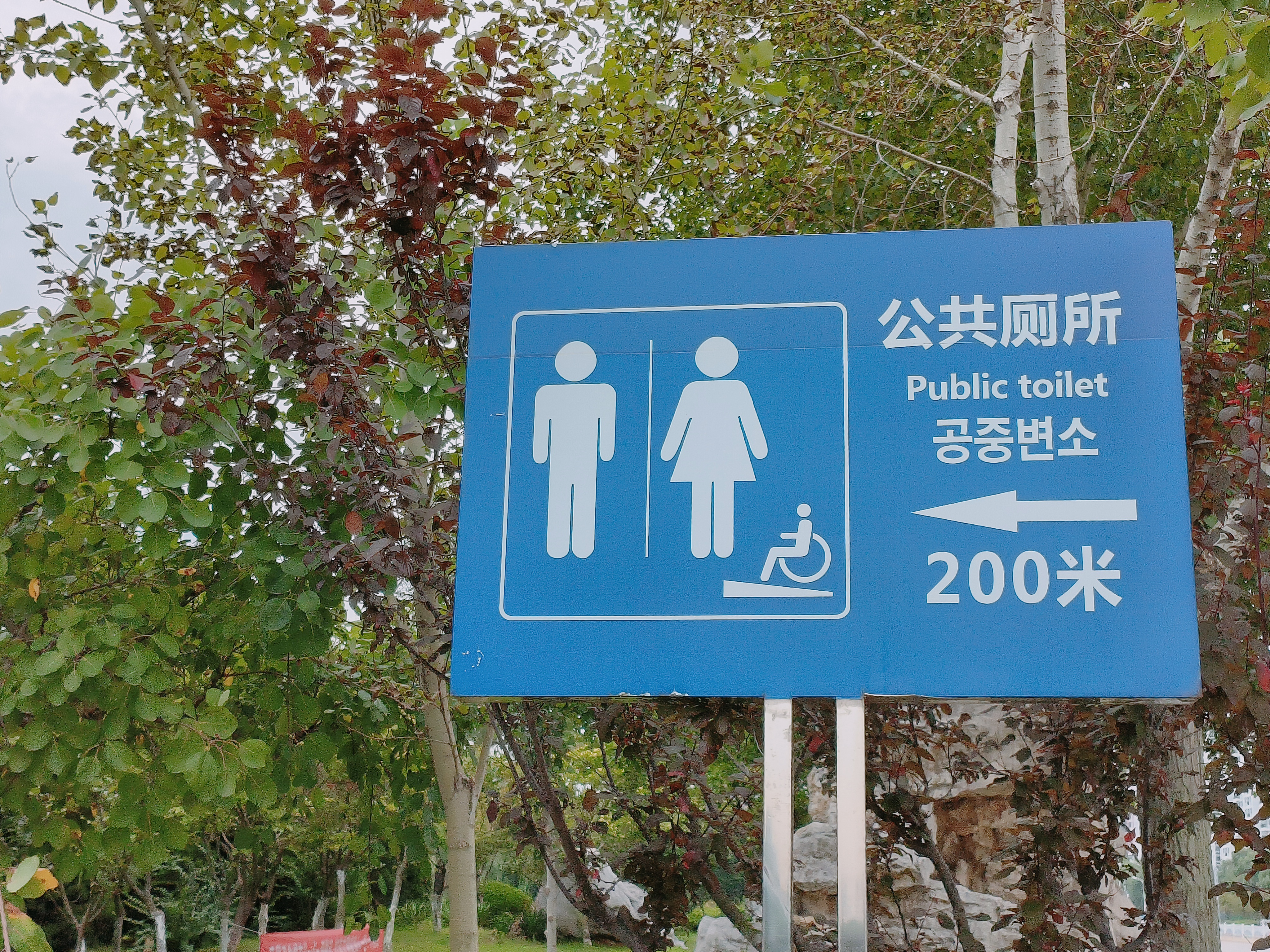 指示牌