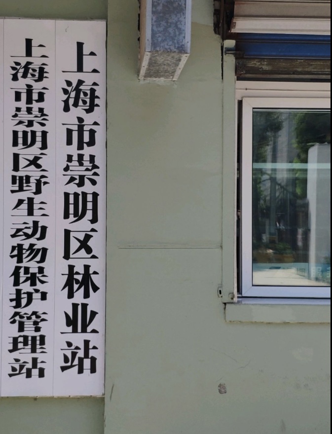 上海市崇明区林业站