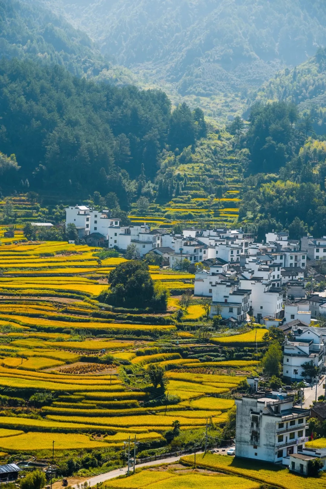  p>婺源县,隶属于江西省上饶市,位于江西省东北部,介于东经117°21