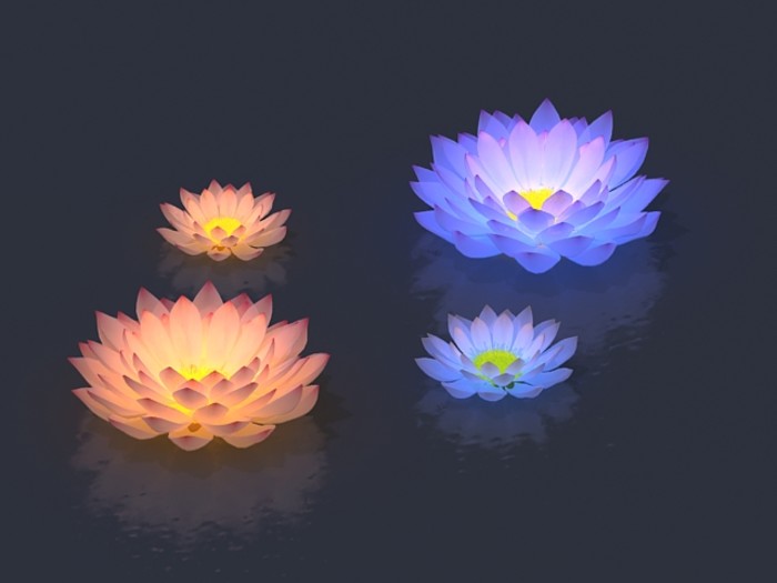 取水族动物形状,以荷花灯衬托,灯下系一乌龟,龟游水中,灯飘水面,穿梭