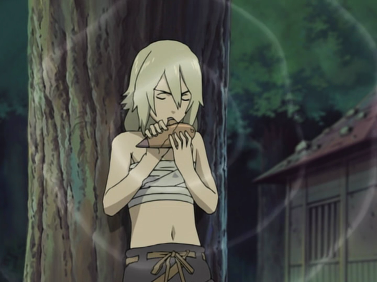 wllh">面麻,tv动画《 a target="_blank" href="/item/火影忍者/8702"