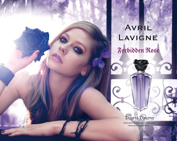 Forbidden Rose_百度百科