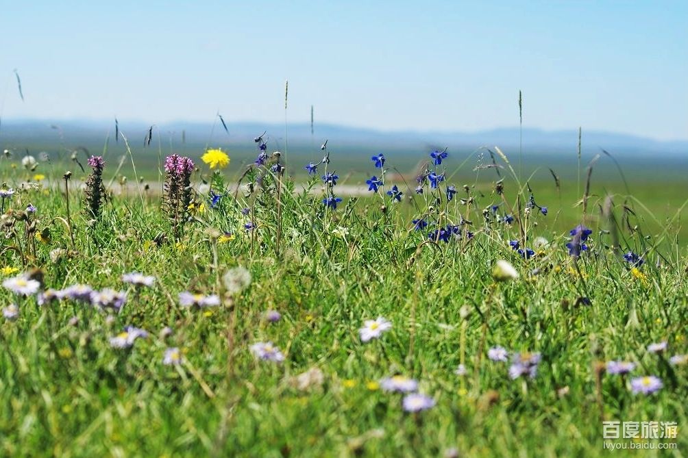  p data-id="gnb6s6fmnf">达力加山位于甘南藏族自治州夏河县甘加乡